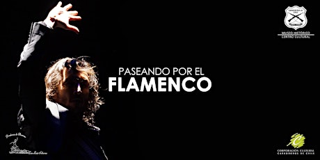 Primaire afbeelding van Paseando por el Flamenco, de la Academia de Flamenco José Luis Sobarzo