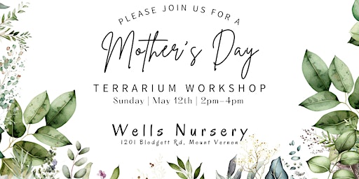 Primaire afbeelding van Mother's Day Terrarium Workshop