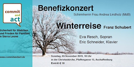 Hauptbild für Benefizkonzert 2019, Winterreise von Franz Schubert mit Eva Resch, Sopran