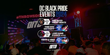 DAY IN THE DISTRICT DC BLACK PRIDE WEEKEND PASS primary image