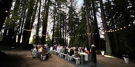 Wine Pairing Dinner in the Redwoods