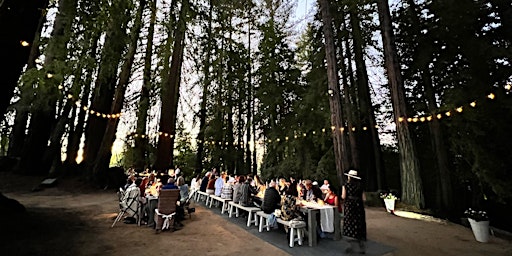 Wine Pairing Dinner in the Redwoods primary image