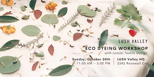 Imagem principal do evento Eco Dyeing Workshop with Lorelei Textile Design