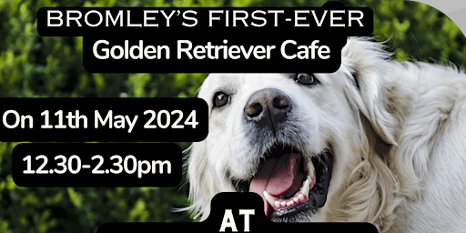 Primaire afbeelding van First ever Golden Retriever cafe  in Bromley/Orpington