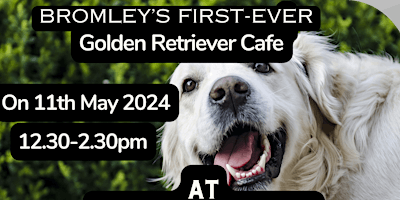 Imagem principal do evento First ever Golden Retriever cafe  in Bromley/Orpington