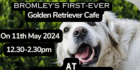 First ever Golden Retriever cafe  in Bromley/Orpington