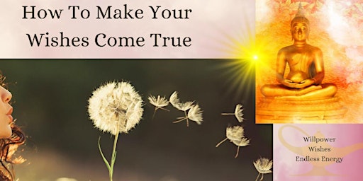 Willpower, Wishes, and Endless Energy: How to Make Your Wishes Come True primary image