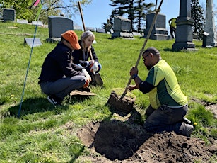 Roots of Tomorrow: Arbor Day Family Tree Planting