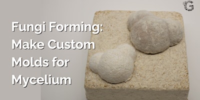 Hauptbild für Fungi Forming: Make Custom Molds for Mycelium