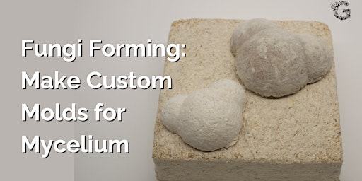 Imagen principal de Fungi Forming: Make Custom Molds for Mycelium