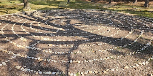 Imagem principal do evento Harmony in Nature: Multi-Facilitator Outdoor Sound Bath