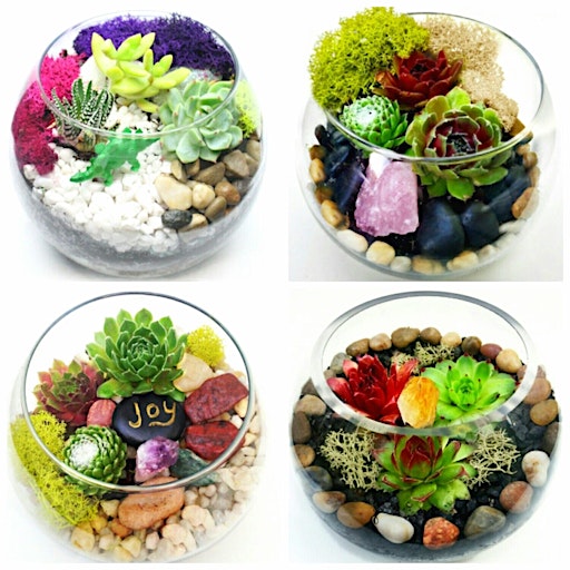 Imagem principal do evento Family Plant Party: Make a Succulent Terrarium