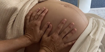 Primaire afbeelding van Heart & Womb: Prenatal Bodywork and Massage Training