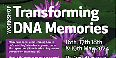 Imagem principal do evento Transforming DNA Memories