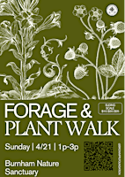 Forage & Plant Walk *EARTH DAY EDITION* primary image