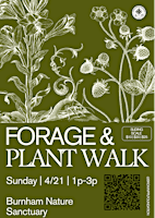 Immagine principale di Forage & Plant Walk *EARTH DAY EDITION* 