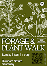 Forage & Plant Walk *EARTH DAY EDITION*