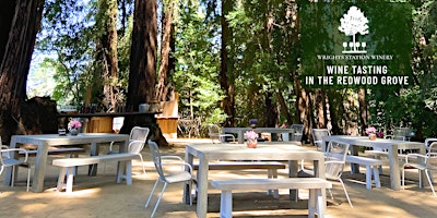 Imagem principal do evento Wine Tasting in the Redwood Grove  w/ Carol Martin