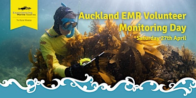 Hauptbild für Auckland EMR Volunteer Monitoring Day