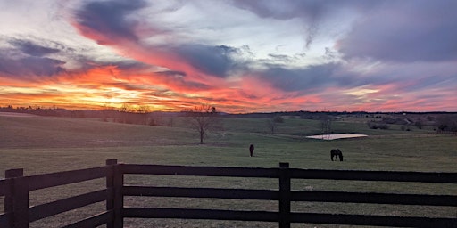 Image principale de Sunset with the Horses - Women's Wellness Event