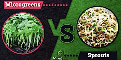 Immagine principale di Earthweek - Sprouts and Microgreens 