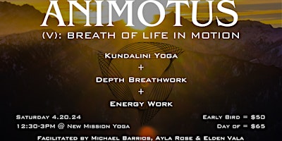 Animotus Breathwork primary image