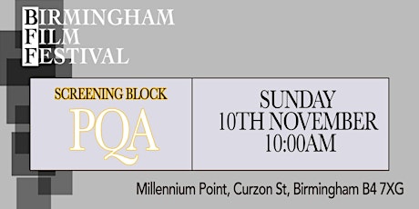 BIRMINGHAM FILM FESTIVAL - Screening Block Z: PQA Special Event primary image