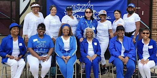 CHARMS, INC. NATIONAL UNITY WALK: SELF-CARE primary image