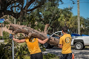 Immagine principale di International Volunteer Day Open House 