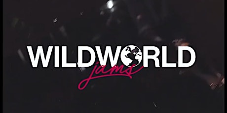 Wild World @ Wild Days • April 26, 2024