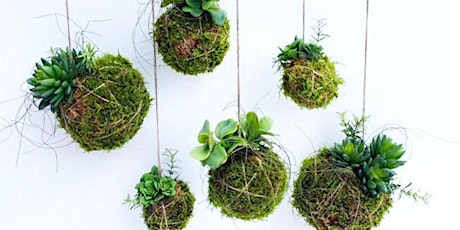 Imagen principal de Kokedama & Macrame: May Make-Along!