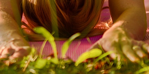 Imagem principal de Flow  with nature-Yoga at the park