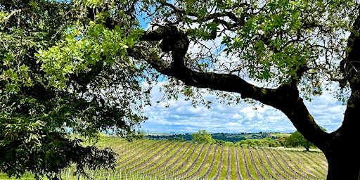 Imagen principal de Manual Lymphatic Drainage Facial Massage Class at Doce Robles Winery!