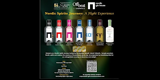 Nordic Spirits Journey: A Flight Experience primary image