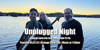 Primaire afbeelding van Unplugged Night acoustic open mic feat: Permission To Fly