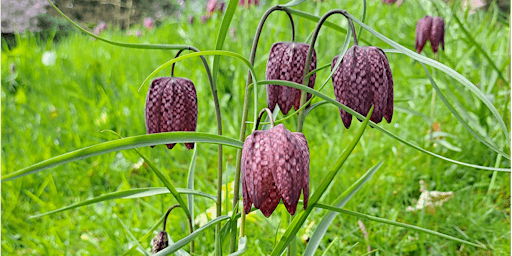 Primaire afbeelding van Oxfordshire’s Local Nature Recovery Strategy - Progress Summary