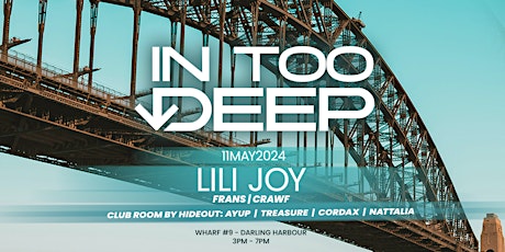 InTooDeep  - Sunset Boat Party (Lili Joy + Hideout TakeOver)