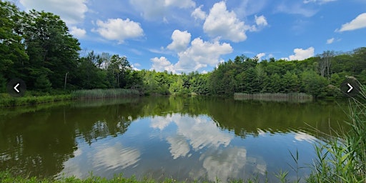 Q-MoB Hike (3rd Sat): Schor Conservation Area (East Chatham, NY) primary image