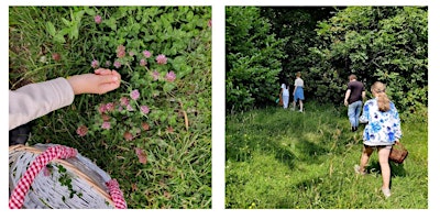 Hauptbild für Summer Foraging Walk - St Marks Park, Edinburgh