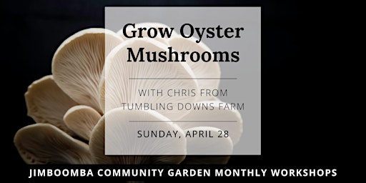 Imagem principal do evento Mushroom Growing At Home