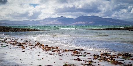 Spring Foraging & Crystals: The Seashore