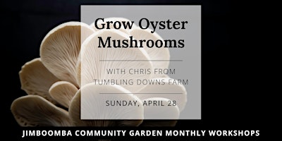 Grow Oyster Mushrooms Workshop primary image