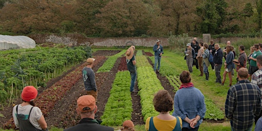 Primaire afbeelding van Market Gardening Camp Out