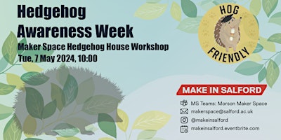 Hauptbild für Hedgehog Awareness Week - Maker Space Hedgehog House Workshop