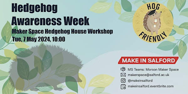 Hedgehog Awareness Week - Maker Space Hedgehog House Workshop