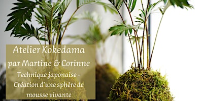 Image principale de Kokedama