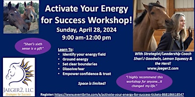 Activate Your Energy for Success! primary image