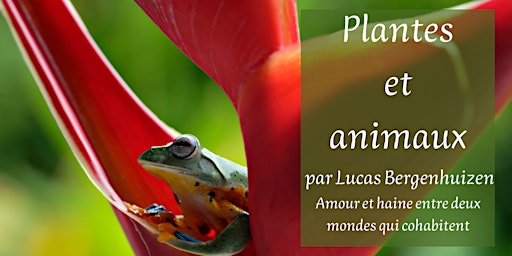 Primaire afbeelding van Plantes et animaux