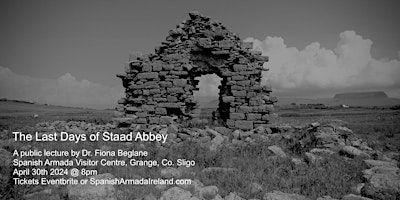 Primaire afbeelding van The Last Days of Staad Abbey