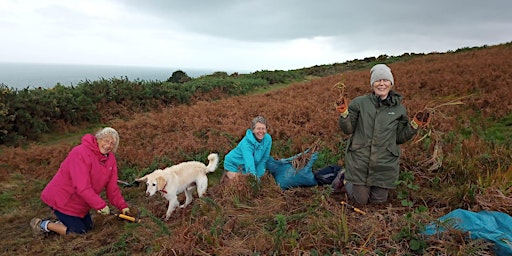 Imagen principal de The Bale House- Conservation Volunteering